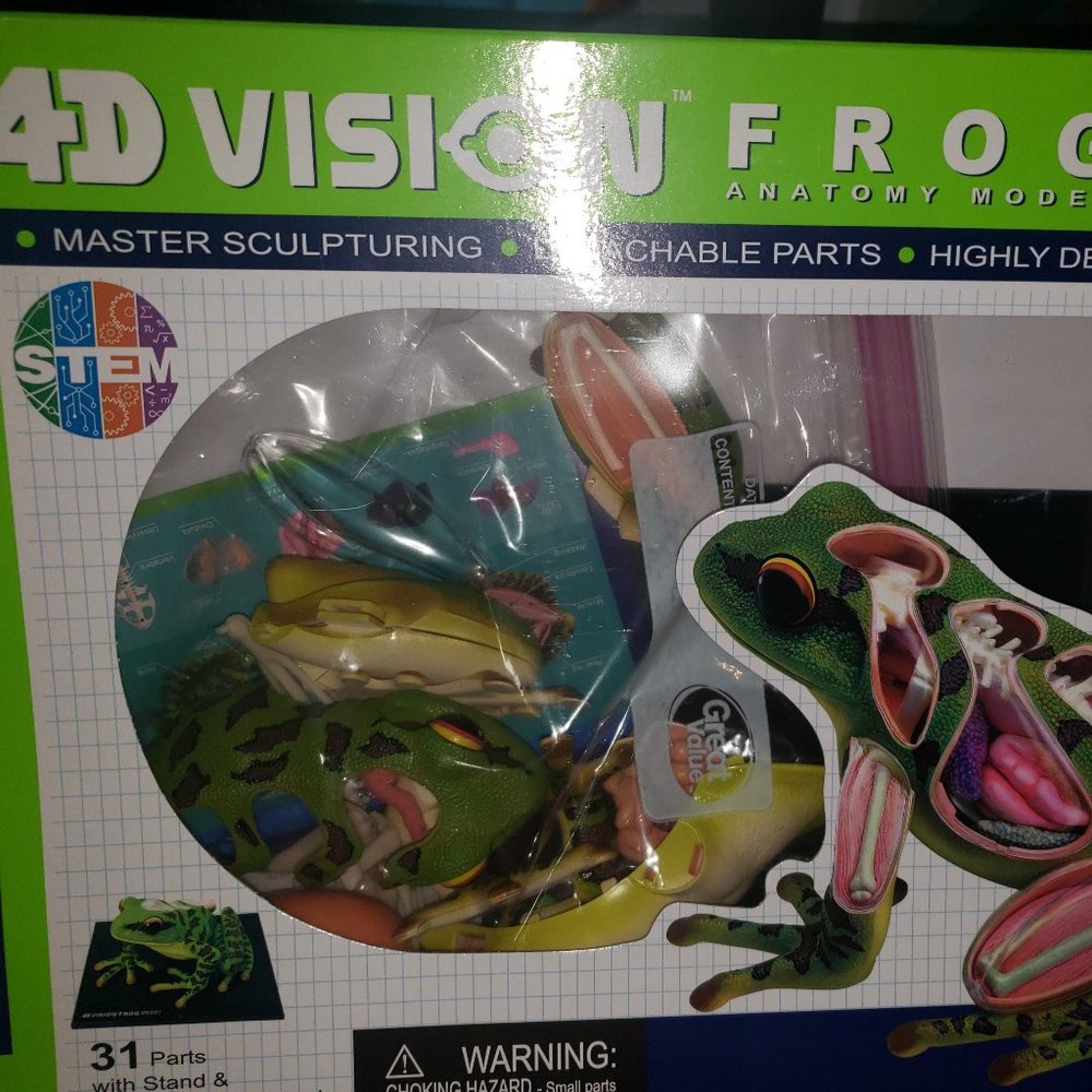 4D Vision Frog Anatomy Model